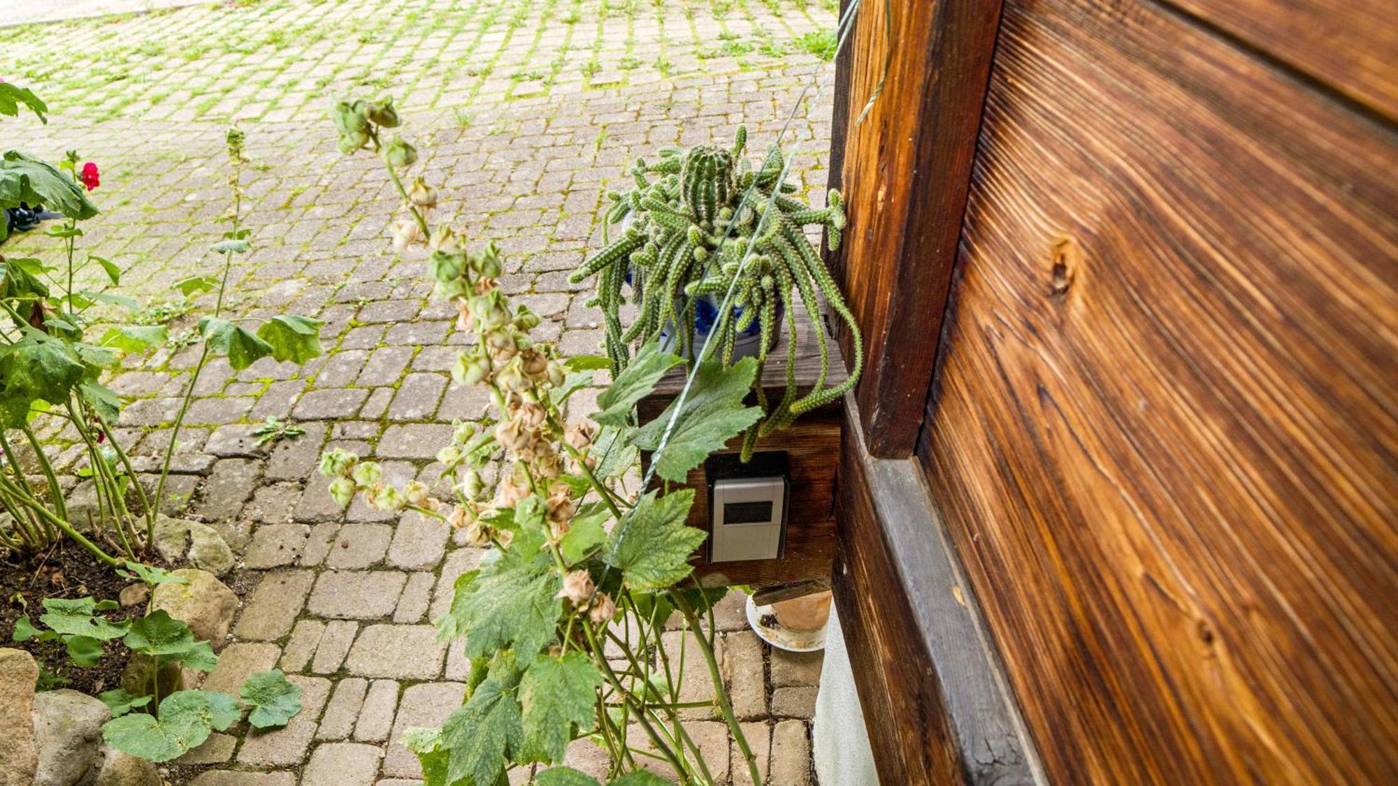 Haus Miriam Apartman Münstertal Kültér fotó